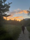 img-20260603-wa0078