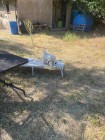 img-20260731-wa0079