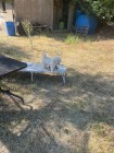 img-20260731-wa0092