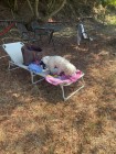 img-20260801-wa0038