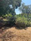 img-20260801-wa0042