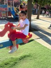 img-20260511-wa0013