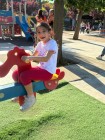 img-20260511-wa0015