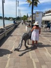 img-20260818-wa0048