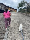 img-20260825-wa0017