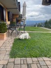 img-20260825-wa0022