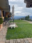 img-20260825-wa0024