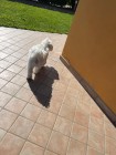 img-20260825-wa0041