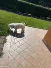 img-20260825-wa0044