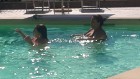 img-20260826-wa0011