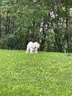 img-20260827-wa0028