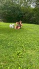 img-20260827-wa0030