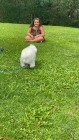img-20260827-wa0034
