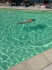img-20260808-wa0057