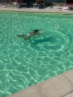 img-20260808-wa0063
