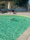 img-20260808-wa0064
