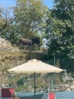 img-20260809-wa0021