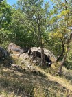 img-20260809-wa0026