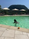 img-20260810-wa0015