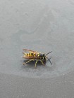 img-20260810-wa0048
