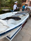 img-20260826-wa0074