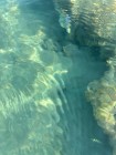 img-20260826-wa0104