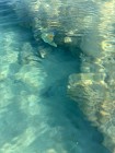 img-20260826-wa0106