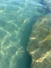 img-20260826-wa0108
