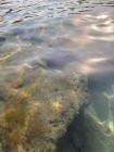 img-20260826-wa0110