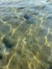 img-20260826-wa0112