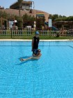 img-20260826-wa0125