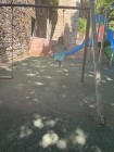 img-20260826-wa0164