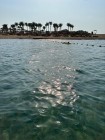 img-20260826-wa0185