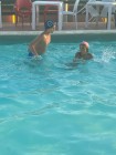 img-20260826-wa0230