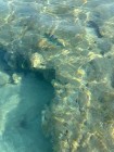 img-20260826-wa0330