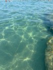 img-20260826-wa0334