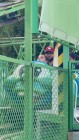 img-20260830-wa0118