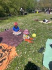 img-20260405-wa0041