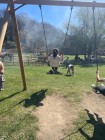 img-20260405-wa0051