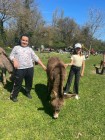 img-20260405-wa0055