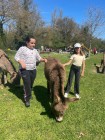img-20260405-wa0060