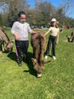 img-20260405-wa0061