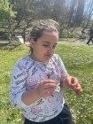 img-20260405-wa0064