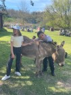 img-20260405-wa0069