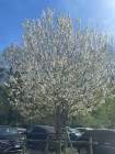 img-20260405-wa0078