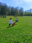 img-20260405-wa0087