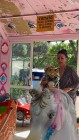 img-20260501-wa0066