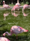 img-20260618-wa0021