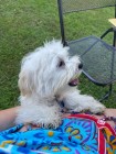 img-20260628-wa0013