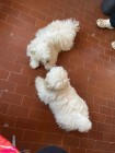 img-20260607-wa0005